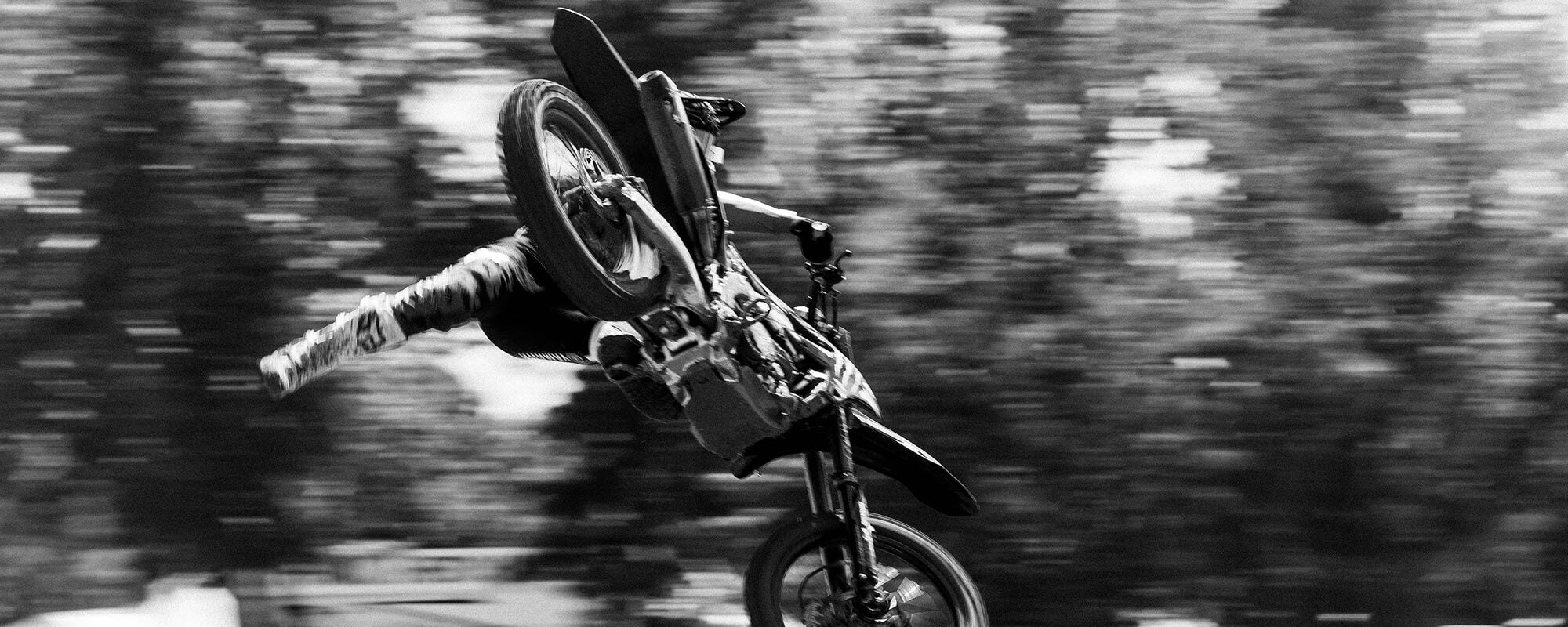 DNGR x Fox