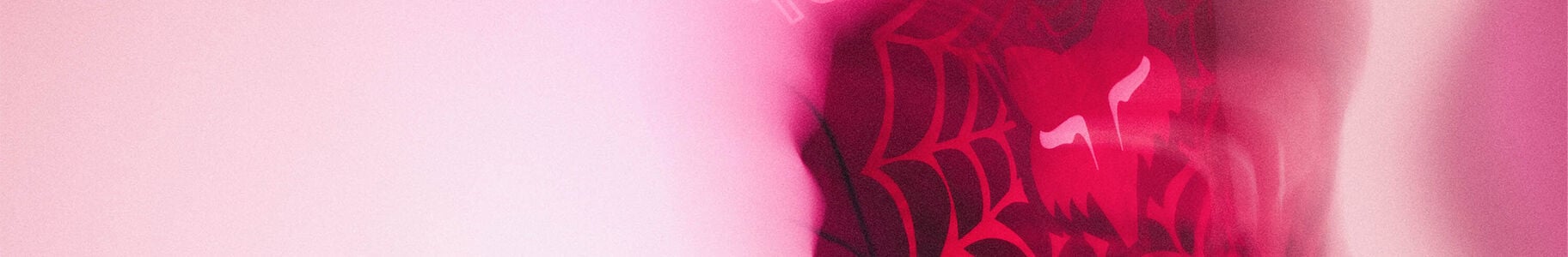 Fox lifestyle banner