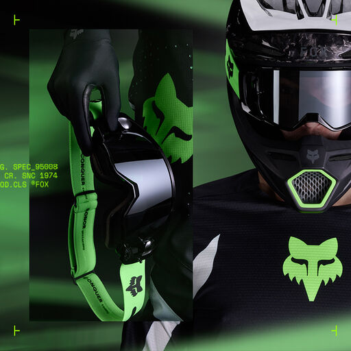 50th Limited Edition Collection